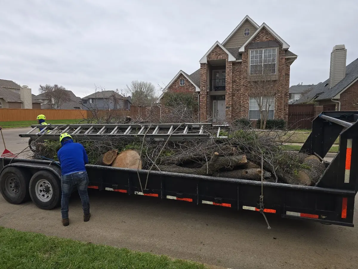 Expert Tree Fertilization with proper safety equipment in Santa Fe